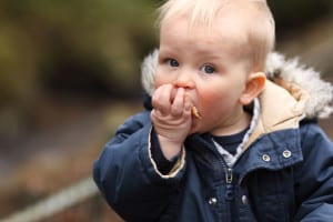 baby-eating-bread-image