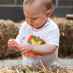 little-boy-haystacks-image
