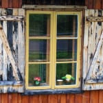 flowers-in-window-image