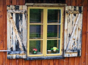 flowers-in-window-image
