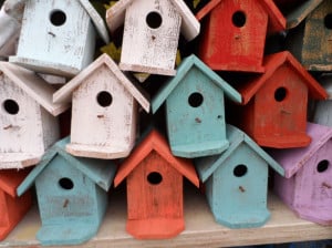 bird-houses-colorful-image