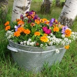 silver-bucket-of-colorful-flowers-image