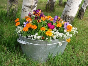 silver-bucket-of-colorful-flowers-image