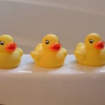 rubber-duckies-in-a-row-image