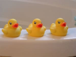 rubber-duckies-all-in-a-row-image