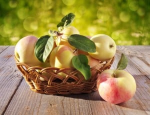 apple-basket-fall-image