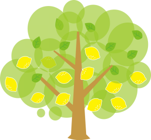 lemons-tree-image