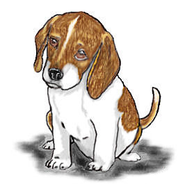 beagle-graphic-image