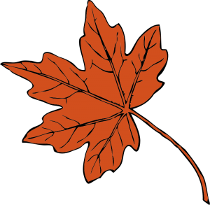 maple-leaf-graphic-image