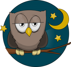 work-at-home-night-owl-image