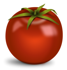 shiny-red-tomato-image