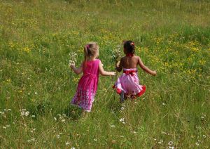 little-girls-playing-field-flowers-grass-image