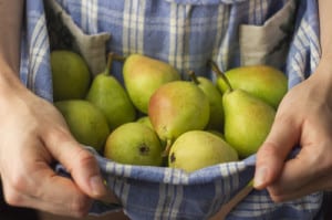 apples-in-blue-apron-image