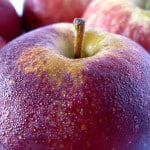 red-fall-apples-image