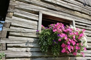 flowers-in-window-cabin-image