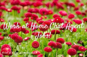 home-based-chat-agent-jobs-image