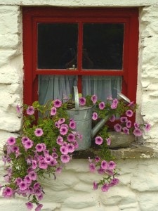 lovely-floral-window-image