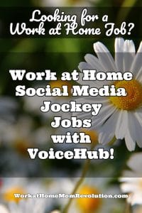 voice hub work at home jobs