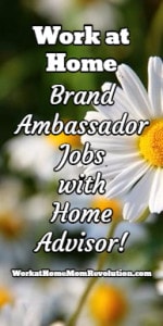 Home Advisor Work at Home Jobs!