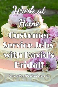 david's bridal cleaning service