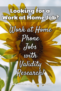 Work at Home Phone Jobs with Validity Research