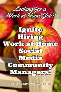Ignite Work at Home Community Manager Job