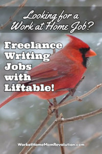 Freelance Writing Jobs with Liftable