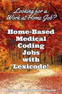 Home-Based Ambulance Medical Coding Jobs with Lexicode