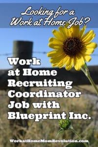 Work at Home Recruiting Coordinator Job with Blueprint, Inc.