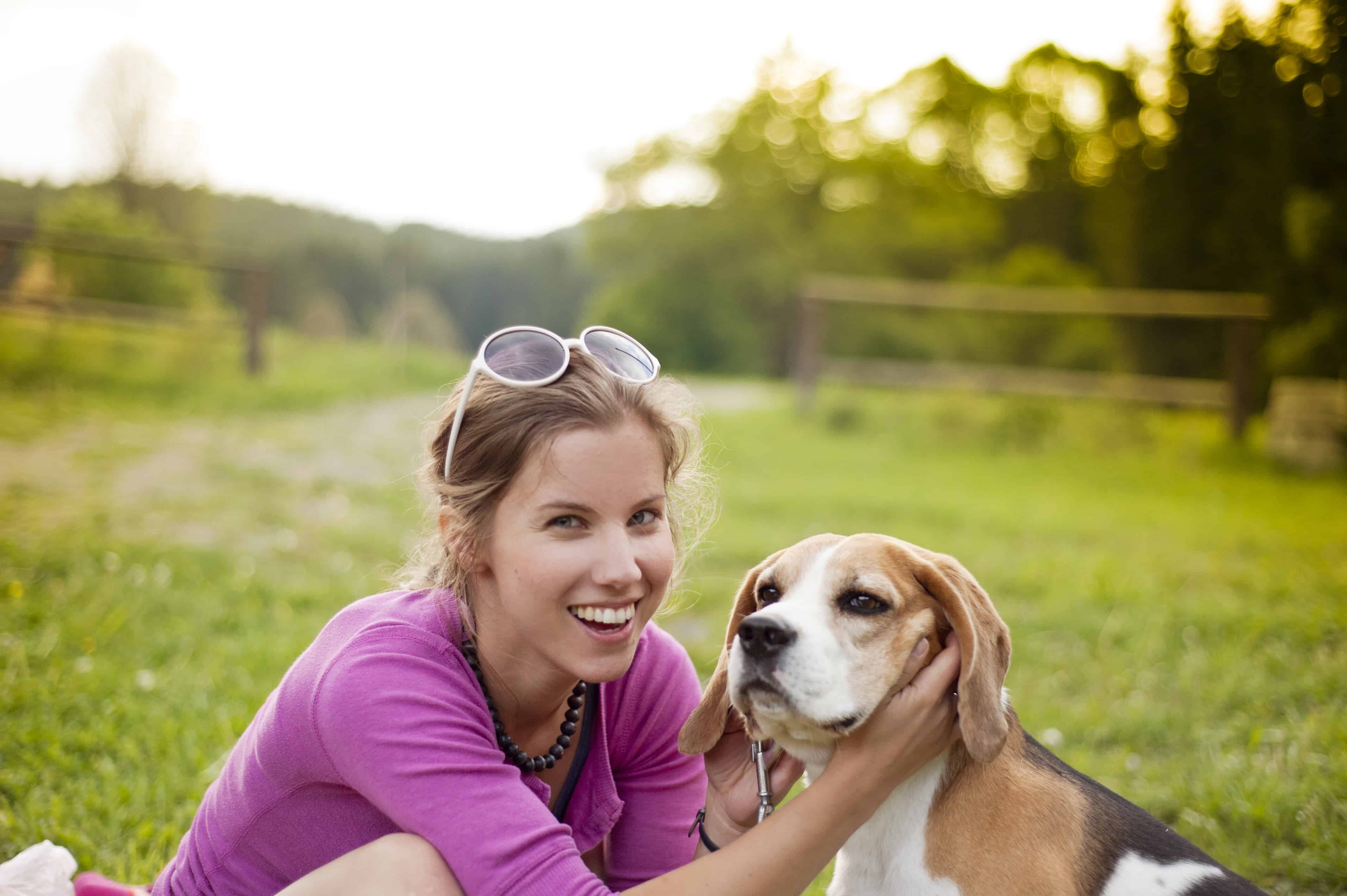 HomeBased Dog Sitting Jobs with