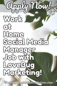 Work at Home Social Media Manager Job with LoveBug Marketing