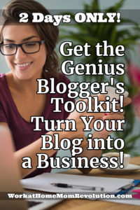   Genius Blogger Toolbox 