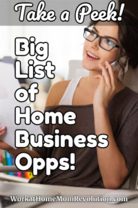 Home Business Opportunities pin