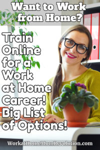 train online for a work at home career pin