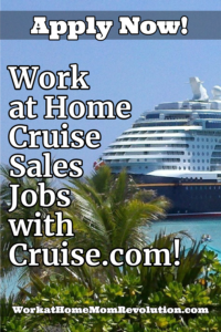 cruise sales job description