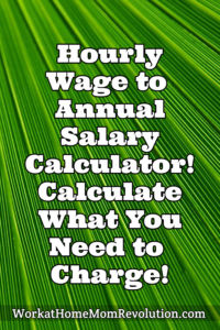 Hourly Wage to Annual Salary Calculator