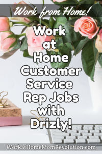 work at home customer service jobs Drizly