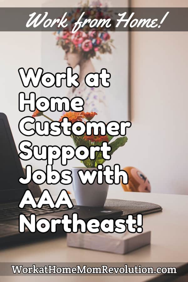 home-based-seasonal-customer-support-jobs-with-summersalt-in-2021