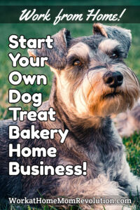 Start Your Own Dog Treat Bakery Home Business