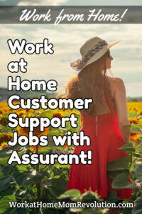 home-based customer support jobs Assurant