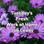Tuesday's Fresh Work at Home Job Leads Sept 20 2022