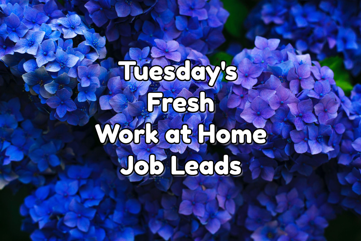 Tuesday's Fresh Work at Home Job Leads Sept 6 2022
