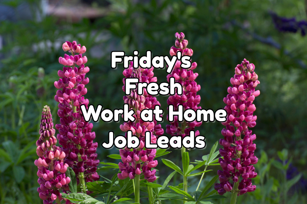 friday job leads