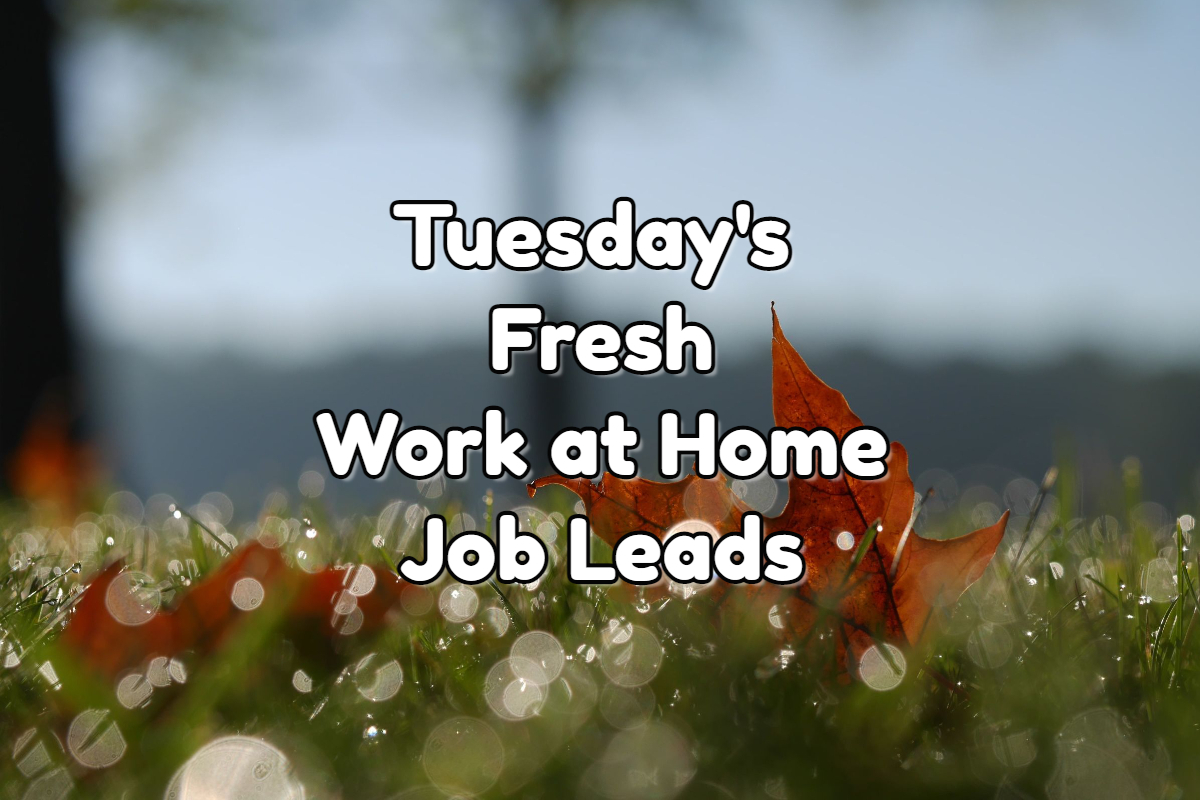 Fresh Work at Home Job Leads - Tuesday, October 11th, 2022