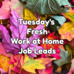 fresh work at home job leads tuesday october 4th 2022