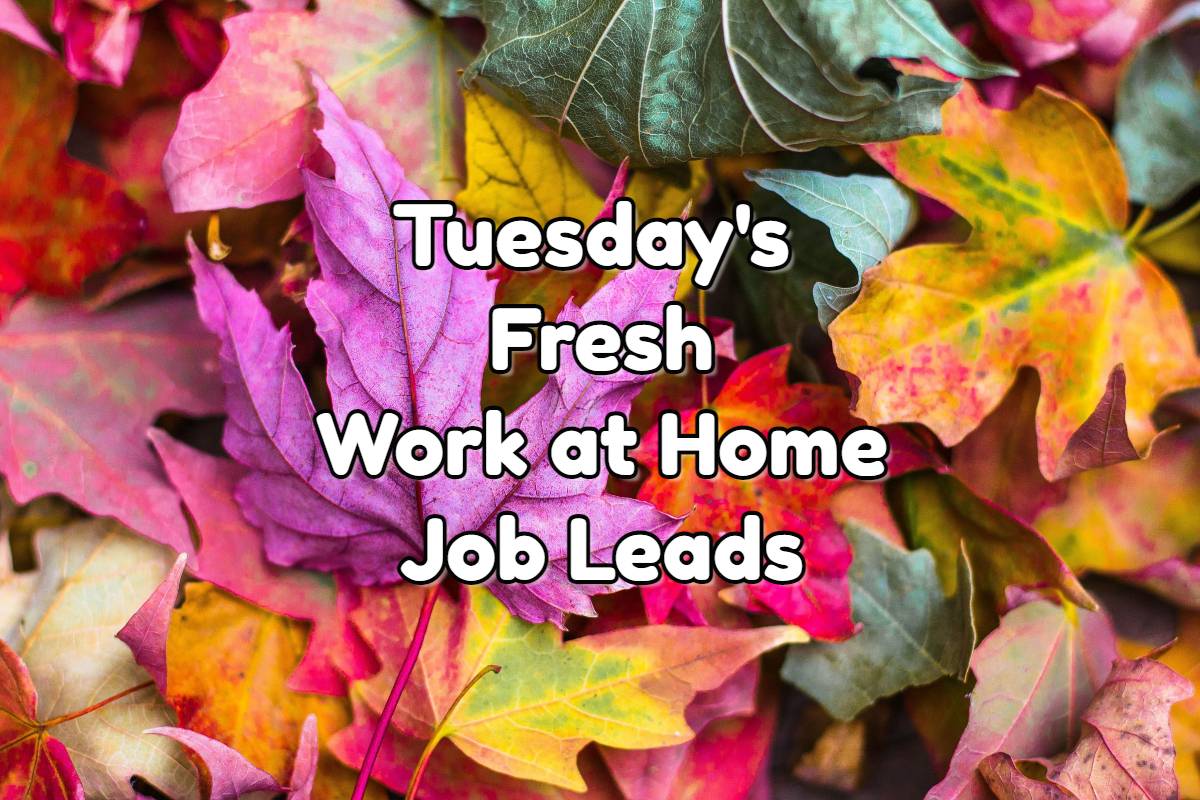 fresh work at home job leads tuesday october 4th 2022