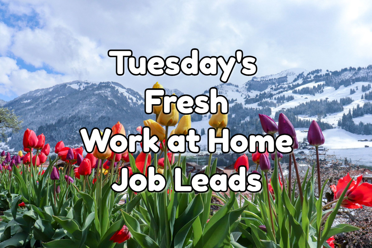 Fresh Work at Home Job Leads - Tuesday, November 15th, 2022
