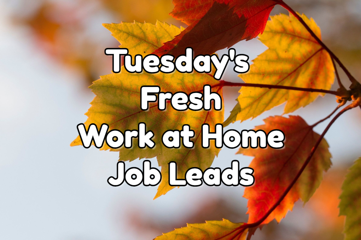 Tuesday's Fresh Work at Home Job Leads - November 1st 2022