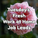 Tuesday's Fresh Work at Home Job Leads - November 8th 2022
