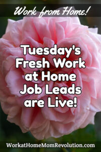 Tuesday's Fresh Work at Home Job Leads - November 8th 2022 pin